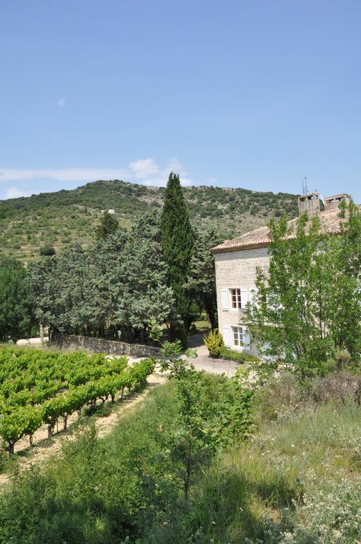Domaine Le Bourdet Villa Saint-Sauveur-de-Cruzieres Exterior photo